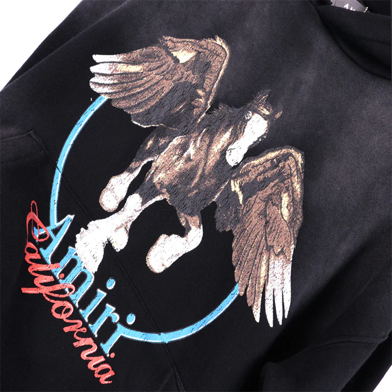 CASA-AMIRI 2025 new hoodie