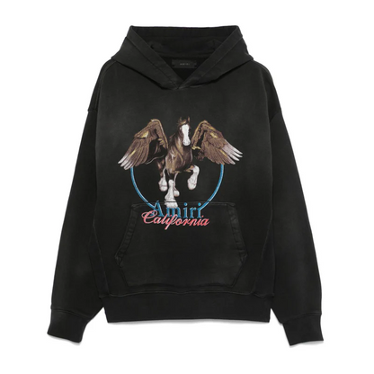 CASA-AMIRI 2025 new hoodie