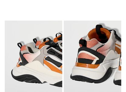 CASA-AMIRI  2025 New Skull Head Sneakers